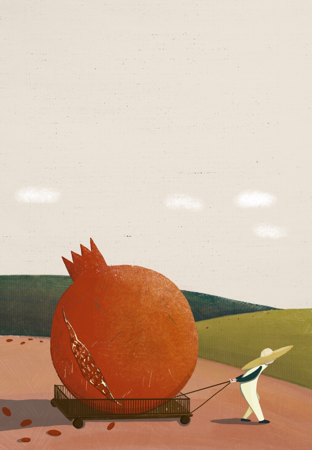 Fruit Wine Label Illustrations
