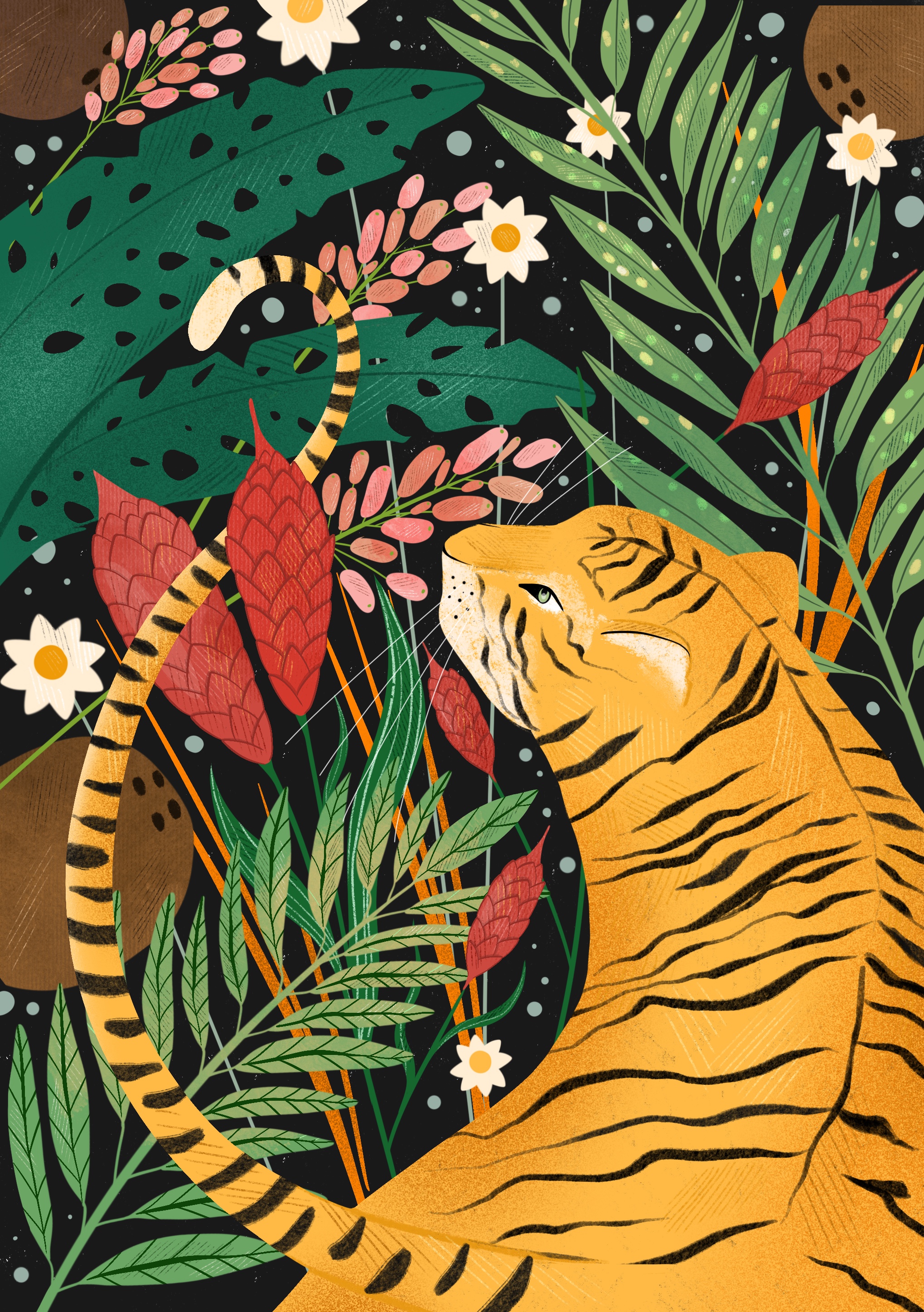 Tea Packaging Illustrations